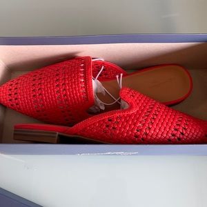 New
